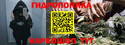 спиды Краснознаменск