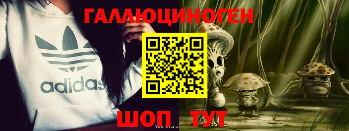 Псилоцибиновые грибы Cubensis  Вход с VPN  Калач-на-Дону 
